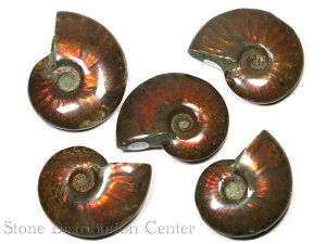 yVX[p[Z[iy΁zACg(R[Cg) (3A) (26`30g)DMցElR|Xs yp[Xg[ VR ANZT[z