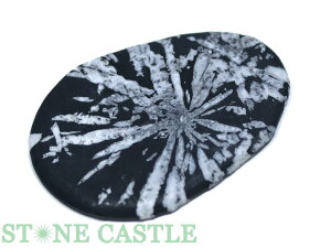 _yu΁z eԐ No.12yp[Xg[ VR ANZT[z