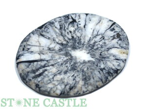 ����_�����y�u���΁z����� �e�Ԑ� No.14�y�p���[�X�g�[�� �V�R�� �A�N�Z�T���[�z