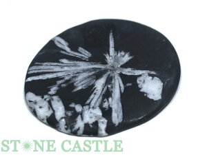 _yu΁z eԐ No.18yp[Xg[ VR ANZT[z