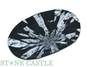 _yu΁z eԐ No.20yp[Xg[ VR ANZT[z