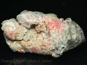 Έ_y΁zCJ[Y (䖳) No.08DMցElR|Xsyp[Xg[ VR ANZT[z