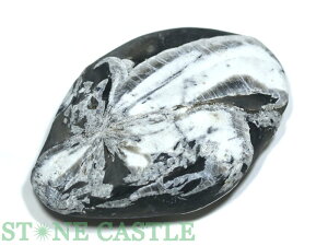 _yu΁z eԐ No.03yp[Xg[ VR ANZT[z