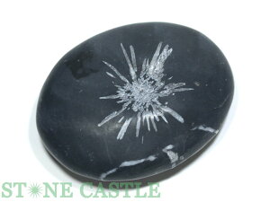 ����_�����y�u���΁z����� �e�Ԑ� No.07�y�p���[�X�g�[�� �V�R�� �A�N�Z�T���[�z