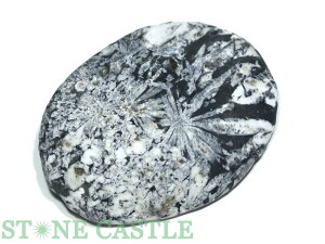 _yu΁z eԐ No.09yp[Xg[ VR ANZT[z