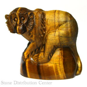 ���u����_�����y�����u���z�T�� �^�C�K�[�A�C No.40��DM�ցE�l�R�|�X�s���y�p���[�X�g�[�� �V�R�� �A�N�Z�T���[�z