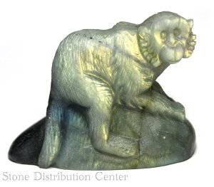 u_yuzT uhCg () No.17DMցElR|Xsyp[Xg[ VR ANZT[z