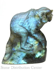 u_yuzT uhCg () No.26DMցElR|Xsyp[Xg[ VR ANZT[z