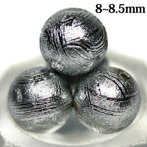 yۃr[YzMxI覐 8mm [1(o)] yp[Xg[ VR ANZT[z