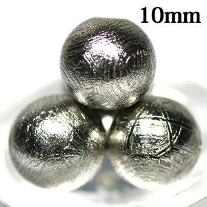 yۃr[YzMxI覐 10mm [1(o)] yp[Xg[ VR ANZT[z