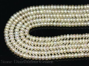 yJbgr[YzWp[ (zCg) {^^ 4x6mmyp[Xg[ VR ANZT[ 1Az