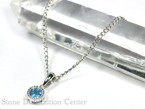 iyy_gzXCXu[gp[Y (uAgJbg) ی^ (sv925) #260 yp[Xg[ VR ANZT[ fB[X Yz