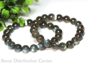 �����i�����y�u���X���b�g�z���u���h���C�g (6A) (��10.5�`11mm) (�P�[�X�t)��DM�ցE�l�R�|�X�s���y�p���[�X�g�[�� �V�R�� �A�N�Z�T���[ ���f�B�[�X �����Y�z