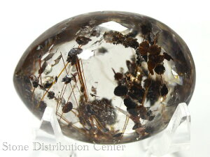 ���u�Έ�_�����y�u���΁z���[�X �K������ No.43��DM�ցE�l�R�|�X�s���y�p���[�X�g�[�� �V�R�� �A�N�Z�T���[�z