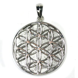 ☆高品質☆【ペンダント】ギベオン隕石 フラワーオブライフ (約27mm) 各種 ※DM便・ネコポス不可※【パワーストーン 天然石 アクセサリー レディース メンズ】