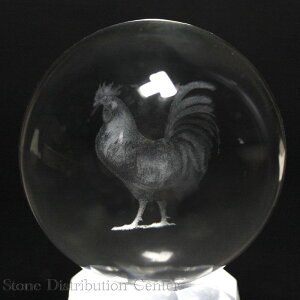 yuzۋ lH 50mm ([U[) {yp[Xg[ VR ANZT[ fB[X Yz