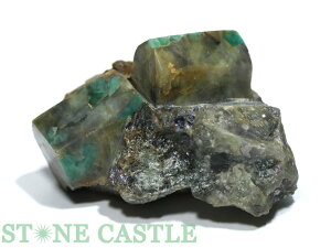 _y΁zGh RNV No.75yp[Xg[ VR ANZT[ fB[X Yz