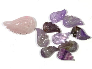 y`[tr[YzVg̉H SS AWXg [1(o)] yp[Xg[ VR ANZT[z