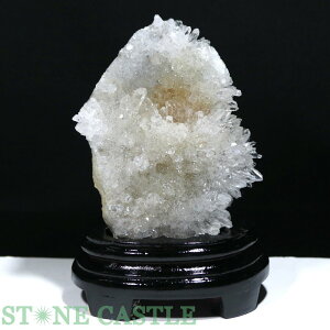 _y΁zeԏNX^[ (EX) (t) No.64yp[Xg[ VR ANZT[ fB[X Yz