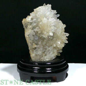 _y΁zeԏNX^[ (EX) (t) No.65yp[Xg[ VR ANZT[ fB[X Yz