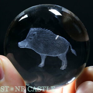 yuzۋ lH 50mm ([U[) ̂yp[Xg[ VR ANZT[ fB[X Yz