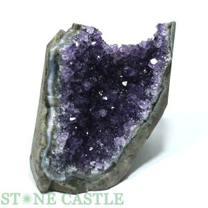 yVX[p[Z[_y΁zAWXg(EOACY) (EX) u^Cv No.144yp[Xg[ VR ANZT[ fB[X Yz