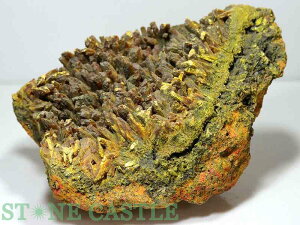 yVX[p[Z[Έ_y΁zI[sg (y[Y) No.02 yp[Xg[ VR ANZT[z