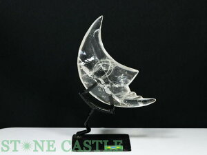 ���u����_�����y�����u���z�N���Z���g���[��(�O����) ���� (EX) (��t) No.40 �y�p���[�X�g�[�� �V�R�� �A�N�Z�T���[�z