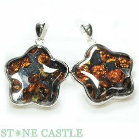 ☆高品質☆【ペンダント】ロシア産 パラサイト セイムチャン隕石 五角星 26mm 【パワーストーン 天然石 アクセサリー レディース メンズ】