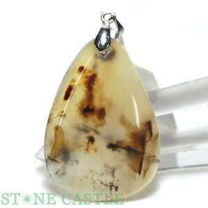 y_g_yy_gzfh`bNAQ[g No.31yp[Xg[ VR ANZT[ fB[X Yz