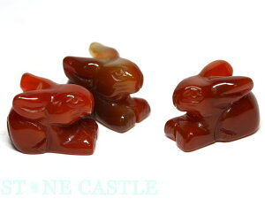 yuz ӂ (STCY) yp[Xg[ VR ANZT[z