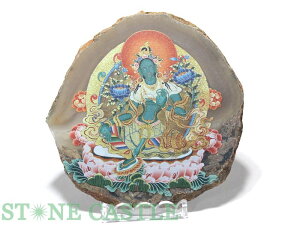 iyu΁zmEv[g (t) F () yp[Xg[ VR ANZT[z