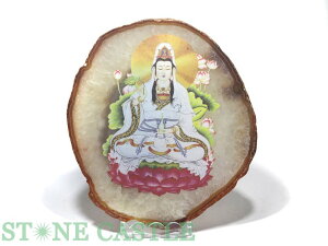 iyu΁zmEv[g (t) ωF yp[Xg[ VR ANZT[z