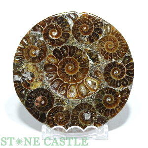 _y΁zAiCg (v[g) 80mm No.51yp[Xg[ VR ANZT[z