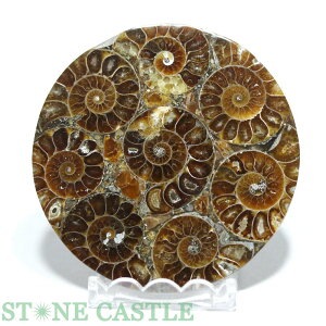 _y΁zAiCg (v[g) 80mm No.52yp[Xg[ VR ANZT[z