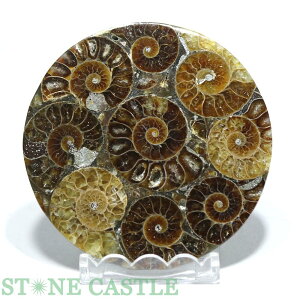 _y΁zAiCg (v[g) 80mm No.57yp[Xg[ VR ANZT[z