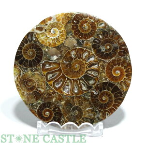 _y΁zAiCg (v[g) 80mm No.59yp[Xg[ VR ANZT[z