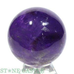 _yu΁zۋ AWXg (EX) 50mm No.08yp[Xg[ VR ANZT[ fB[X Yz