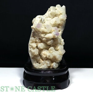 yVX[p[Z[Έ_y΁zZv^[NH[c () (q}EKl[VY) (t) No.12 yp[Xg[ VR ANZT[z