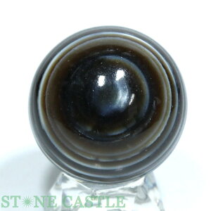_yu΁zۋ V 41mm No.01yp[Xg[ VR ANZT[ fB[X Yz