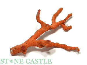 yVX[p[Z[؈_y؁zVRԎX No.20 yp[Xg[ VR ANZT[z