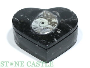 iyu΁zI\ZX 򉻔 n[g^yp[Xg[ VR ANZT[ fB[X Yz