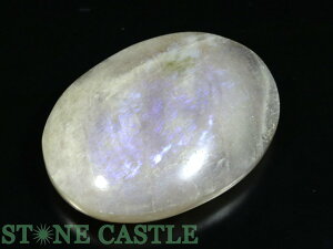 _yu΁z [Xg[ No.18yp[Xg[ VR ANZT[ fB[X Yz