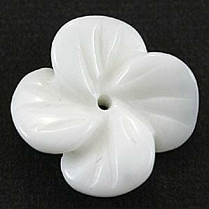 y`[tr[Yzl zCgVFyp[Xg[ VR ANZT[z