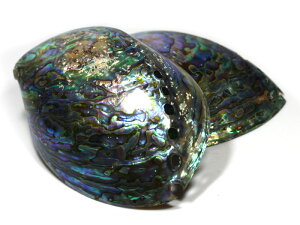 yu΁zAoVF (ArLk)(1) yp[Xg[ VR ANZT[z