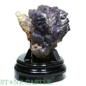 Έ_y΁zt[Cg RNV (t) No.31 yp[Xg[ VR ANZT[z