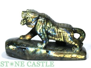 u_yuz uhCg () No.31 yp[Xg[ VR ANZT[z