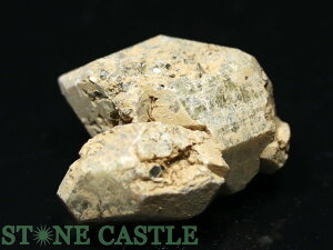 _y΁z_CIvTCg No.02 yp[Xg[ VR ANZT[z