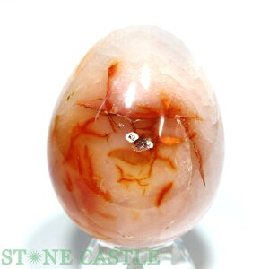 _yu΁z܂^ `xbgJ[lA No.62yp[Xg[ VR ANZT[z