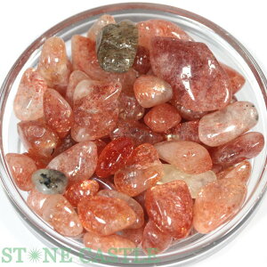 yz򉻗p`bv 200g TXg[yp[Xg[ VR ANZT[z